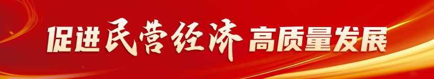 促進民營經濟高質量發展